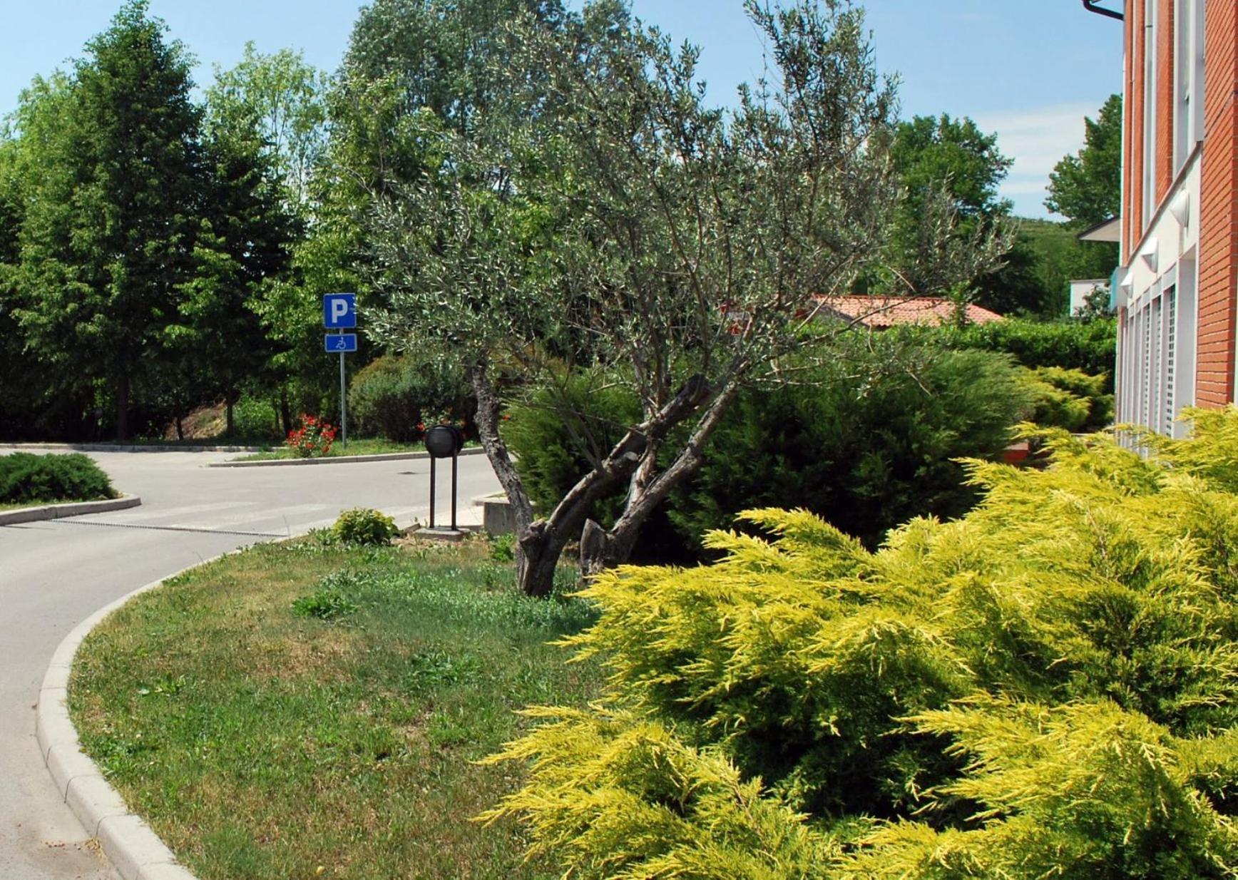 Bed And Breakfast Kogoj Nova Gorica Buitenkant foto