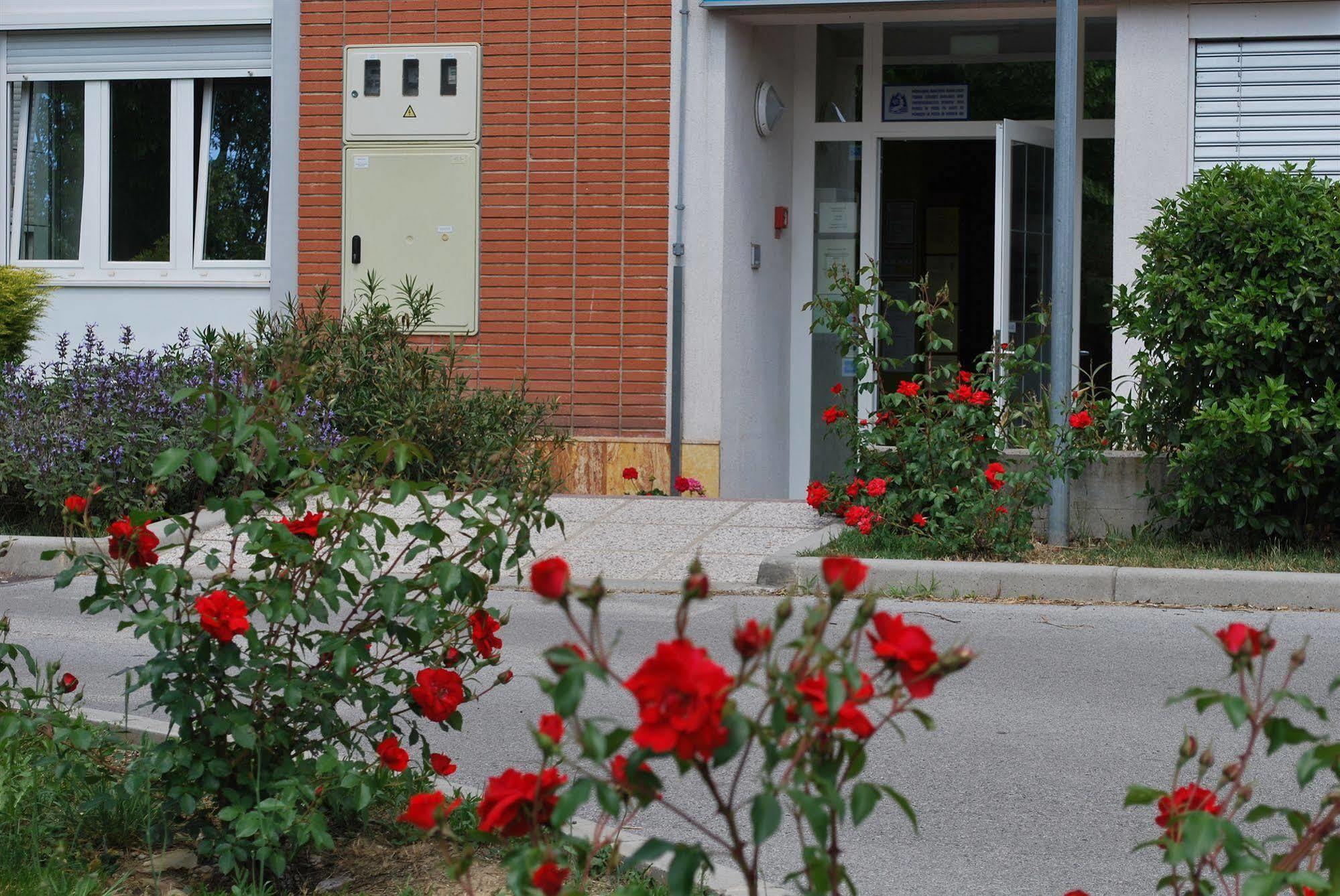 Bed And Breakfast Kogoj Nova Gorica Buitenkant foto