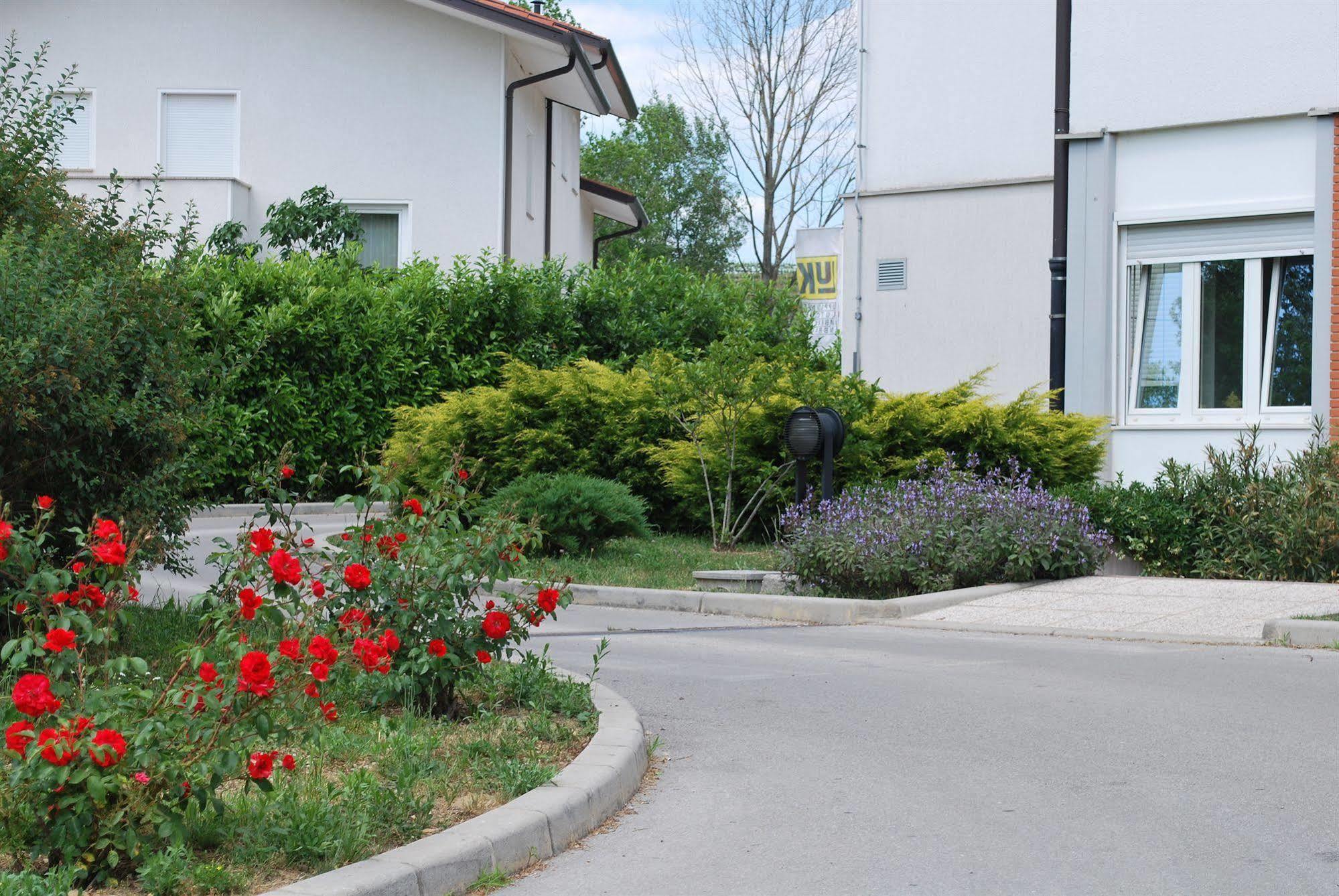 Bed And Breakfast Kogoj Nova Gorica Buitenkant foto